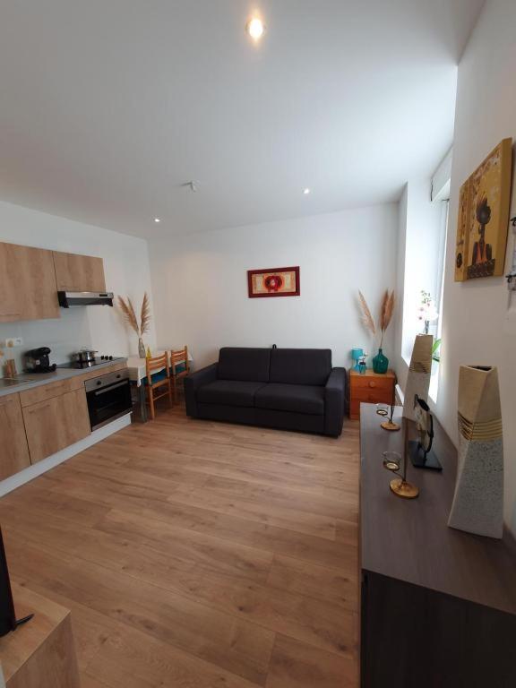 Appart'Hotel, Ikimo 5 Appartements Entiers A Votre Disposition Au Choix نانسي المظهر الخارجي الصورة
